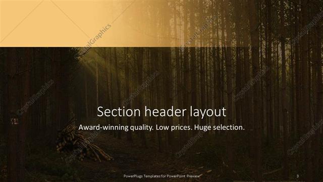 Section Header presentation slide layout