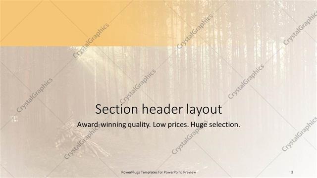 Section Header presentation slide layout