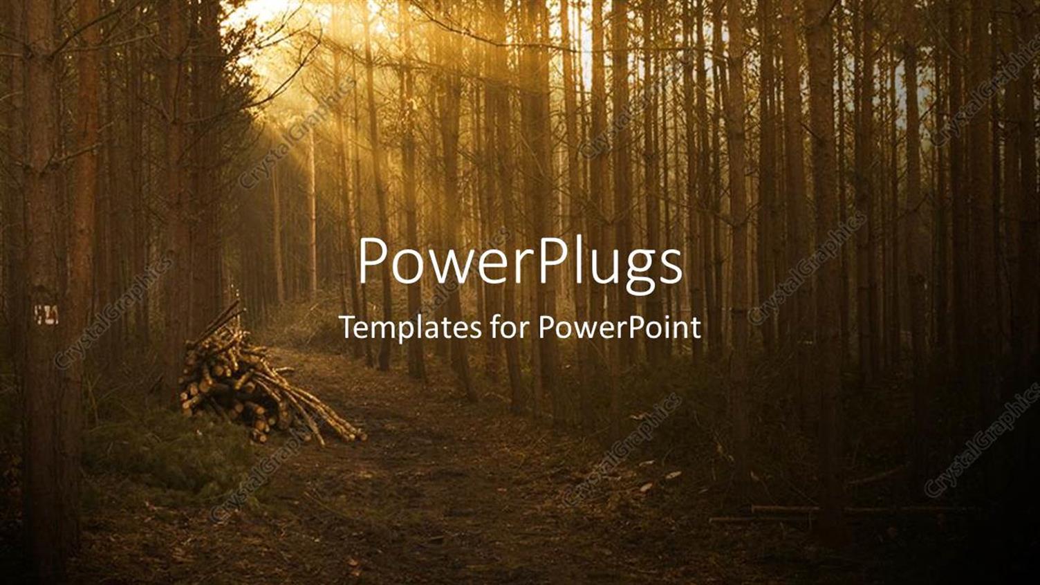 Premium Template for PowerPoint & Google Slides 