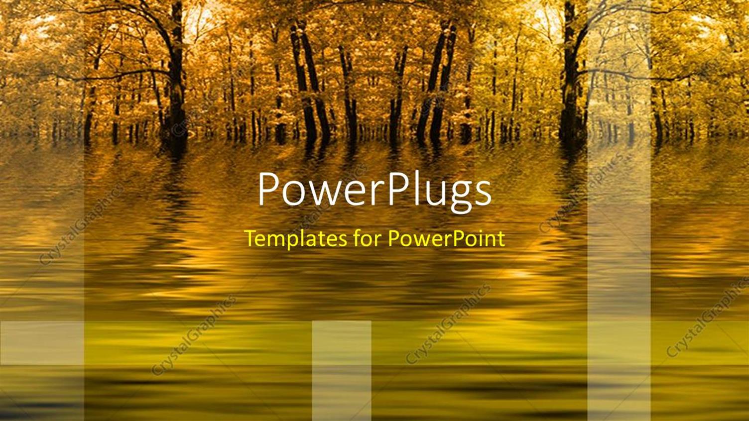 Premium Template for PowerPoint & Google Slides 
