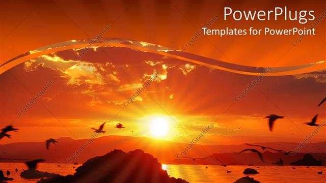  Presentation with birds - Sun set view of a wide lake with birds