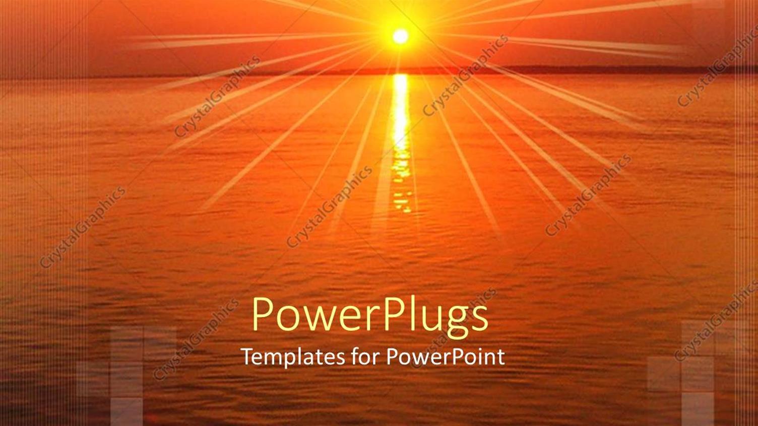 Premium Template for PowerPoint & Google Slides 