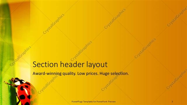 Section Header presentation slide layout