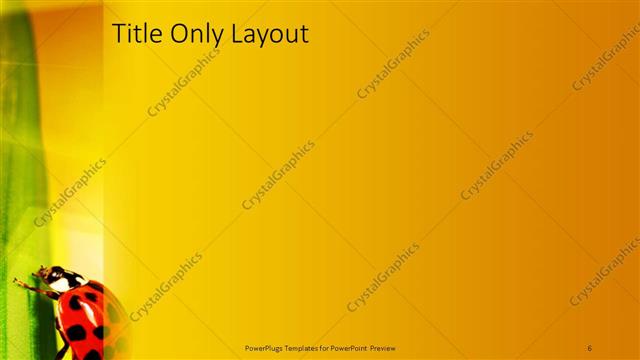 Title Only presentation slide layout