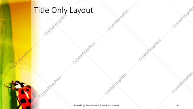 Title Only presentation slide layout