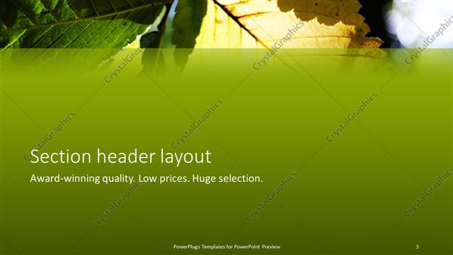 Section Header presentation slide layout