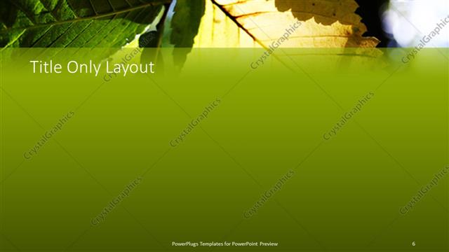 Title Only presentation slide layout