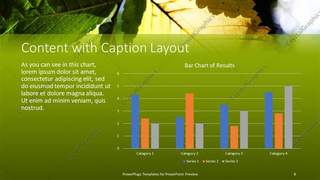 Content with Caption presentation slide layout