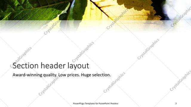 Section Header presentation slide layout