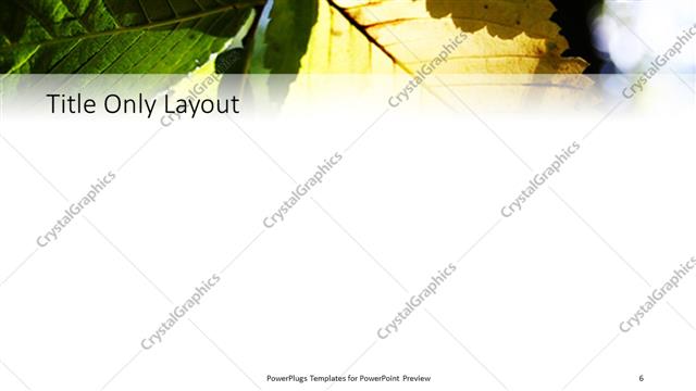 Title Only presentation slide layout