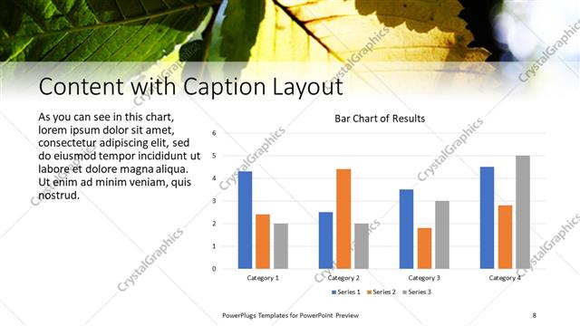 Content with Caption presentation slide layout
