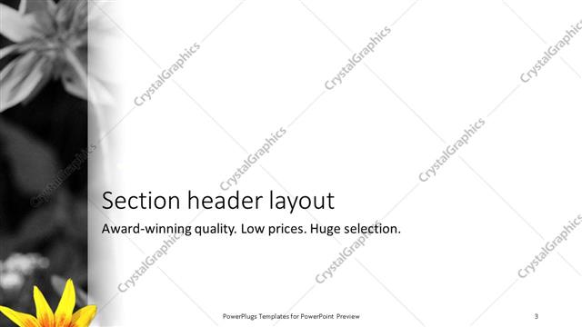 Section Header presentation slide layout