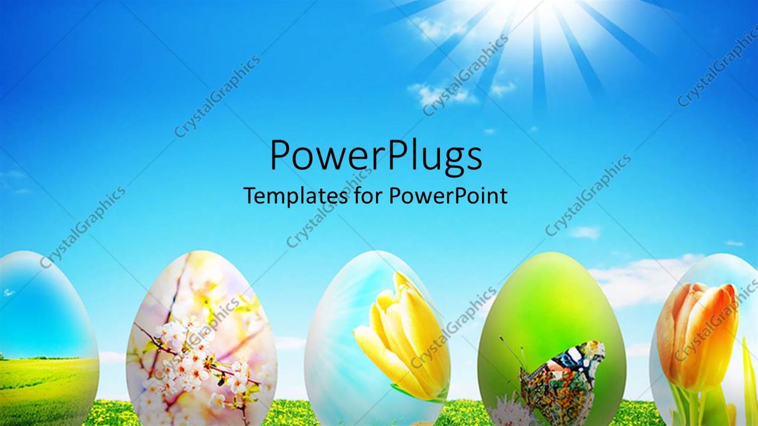 Premium Template for PowerPoint & Google Slides 