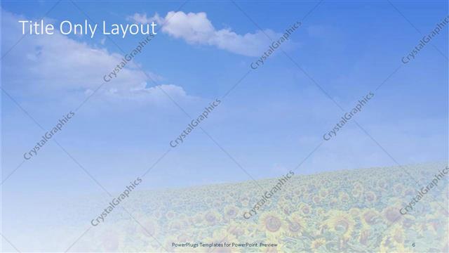 Title Only presentation slide layout