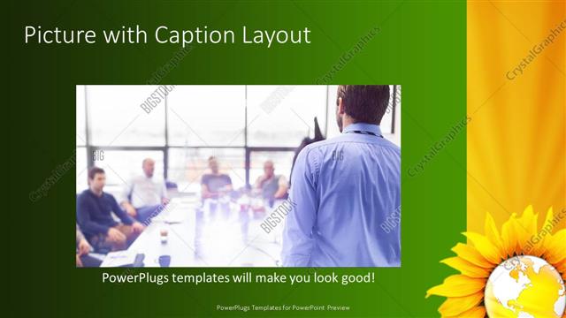 Picture with Caption presentation slide layout