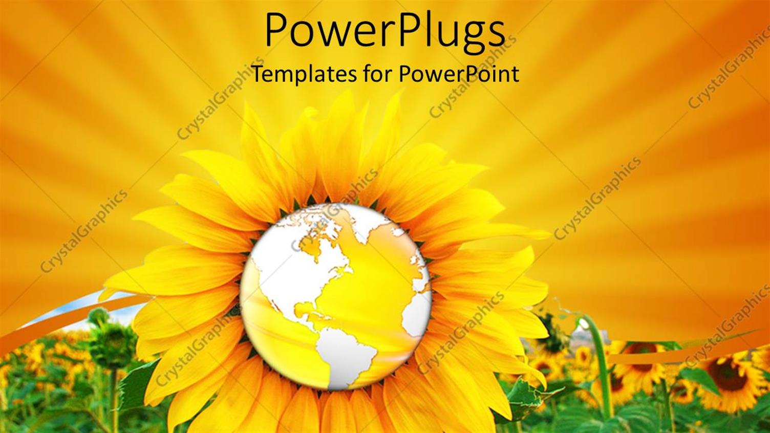 Premium Template for PowerPoint & Google Slides 