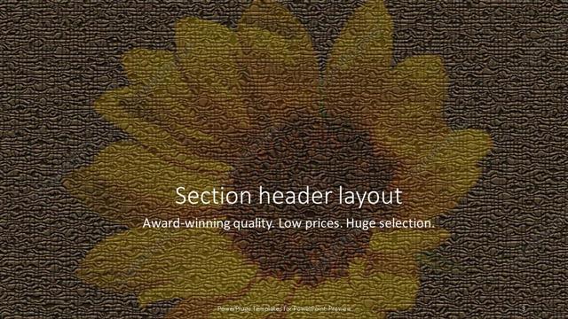 Section Header presentation slide layout