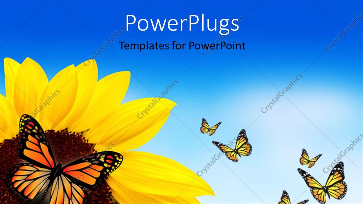 Premium Template for PowerPoint & Google Slides 
