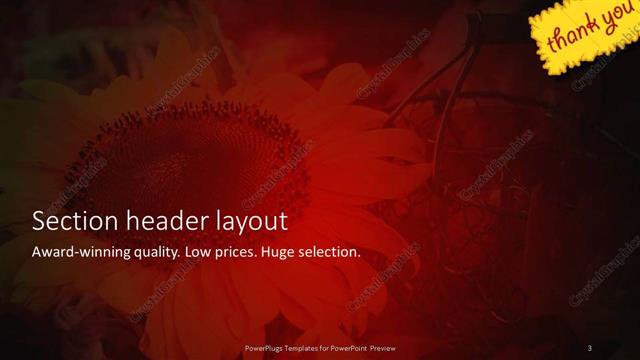 Section Header presentation slide layout