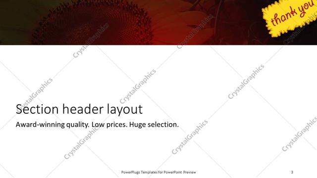 Section Header presentation slide layout