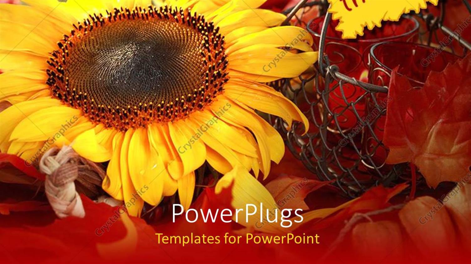 Premium Template for PowerPoint & Google Slides 