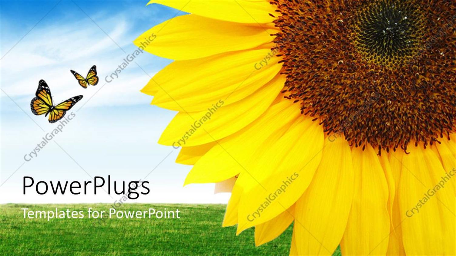 Premium Template for PowerPoint & Google Slides 