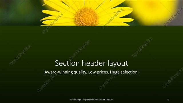 Section Header presentation slide layout