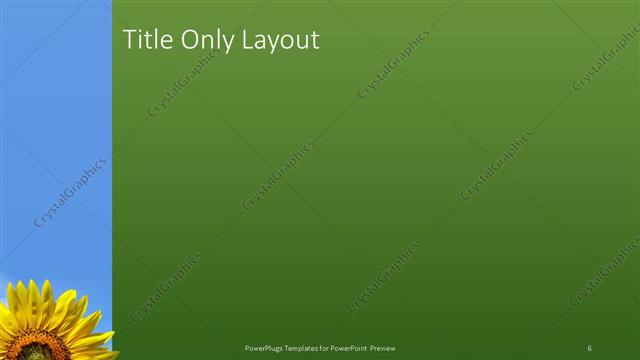 Title Only presentation slide layout
