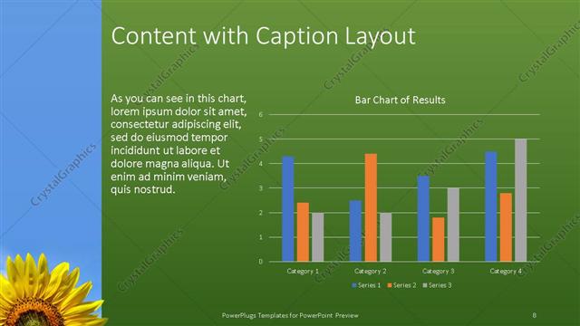 Content with Caption presentation slide layout