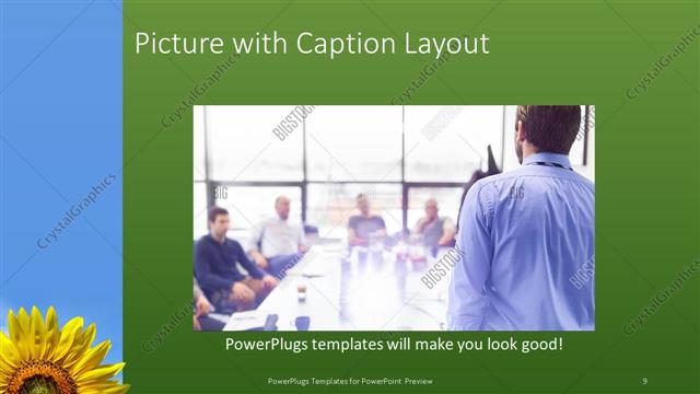 Picture with Caption presentation slide layout