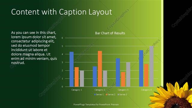 Content with Caption presentation slide layout