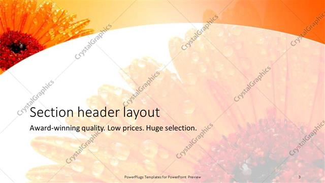 Section Header presentation slide layout