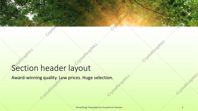 Section Header presentation slide layout