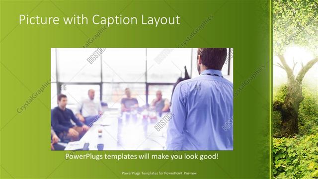 Picture with Caption presentation slide layout
