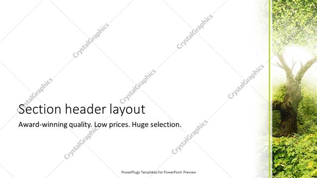 Section Header presentation slide layout