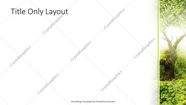 Title Only presentation slide layout