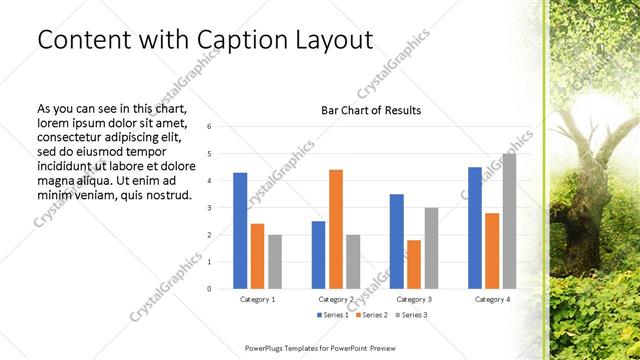 Content with Caption presentation slide layout