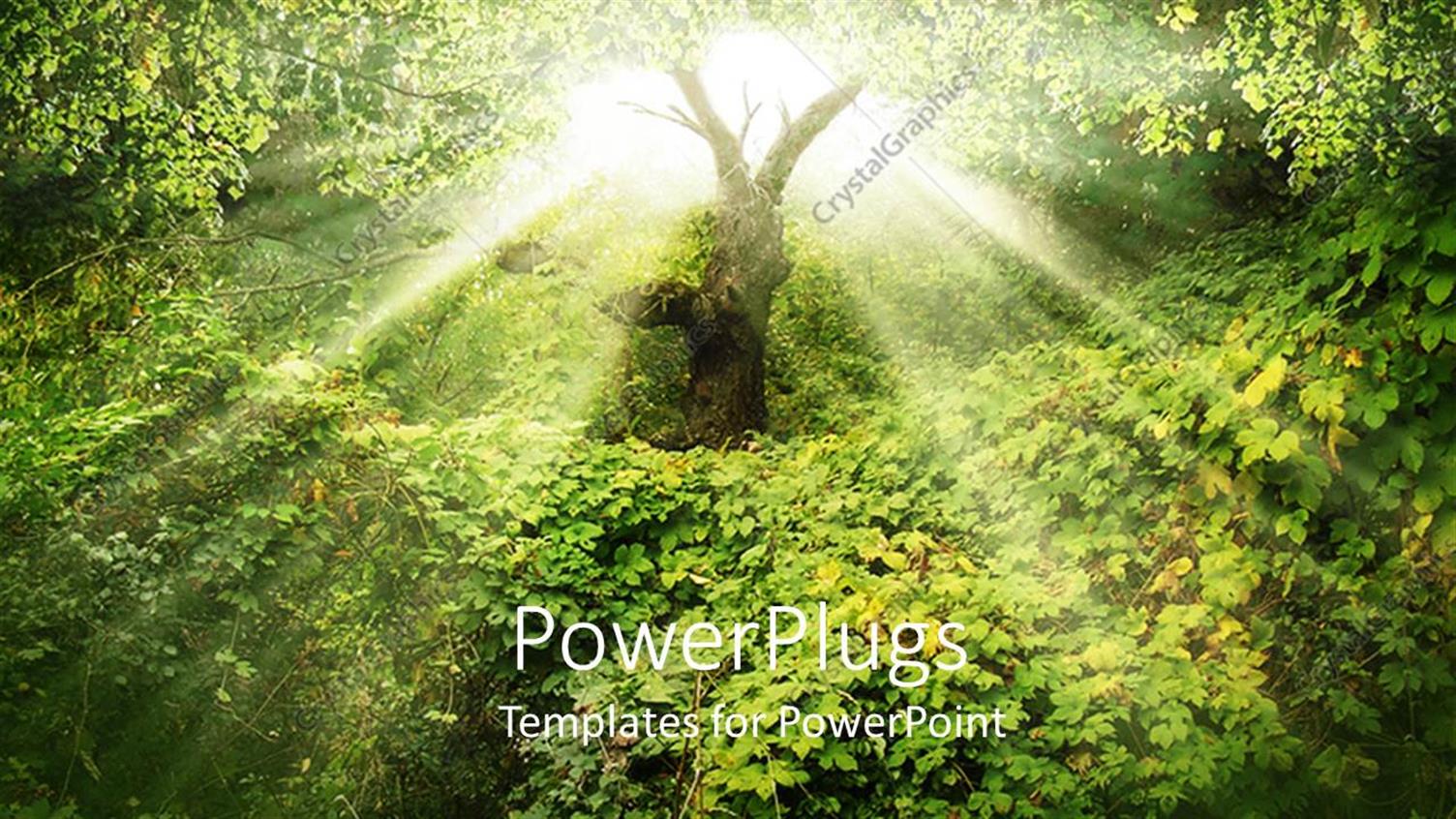 Premium Template for PowerPoint & Google Slides 