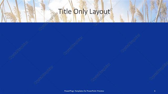 Title Only presentation slide layout