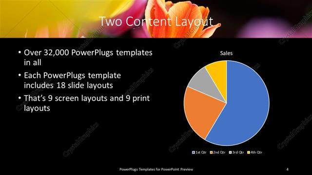 Two Content presentation slide layout