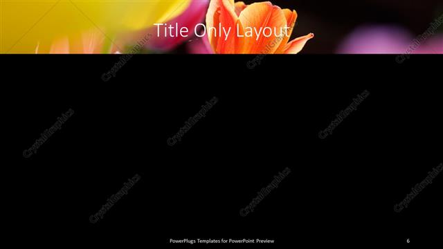 Title Only presentation slide layout