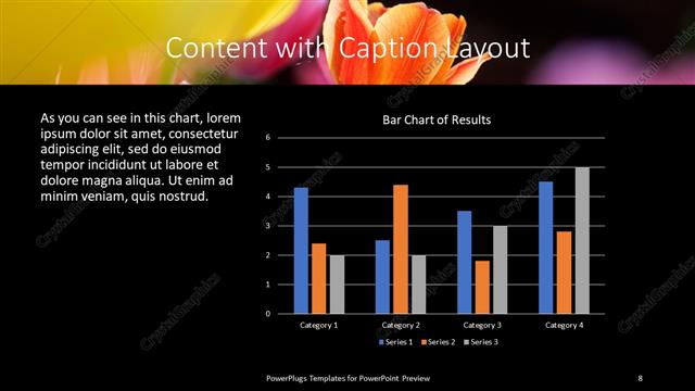 Content with Caption presentation slide layout