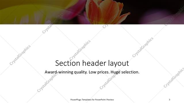 Section Header presentation slide layout