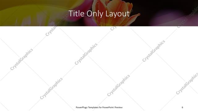 Title Only presentation slide layout