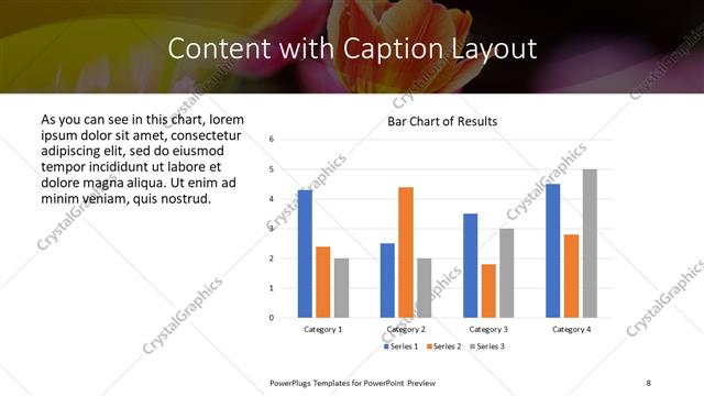 Content with Caption presentation slide layout