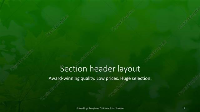 Section Header presentation slide layout