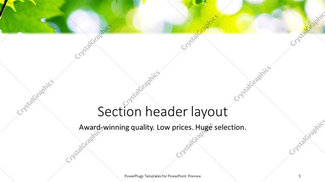 Section Header presentation slide layout