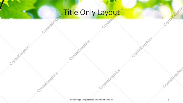 Title Only presentation slide layout