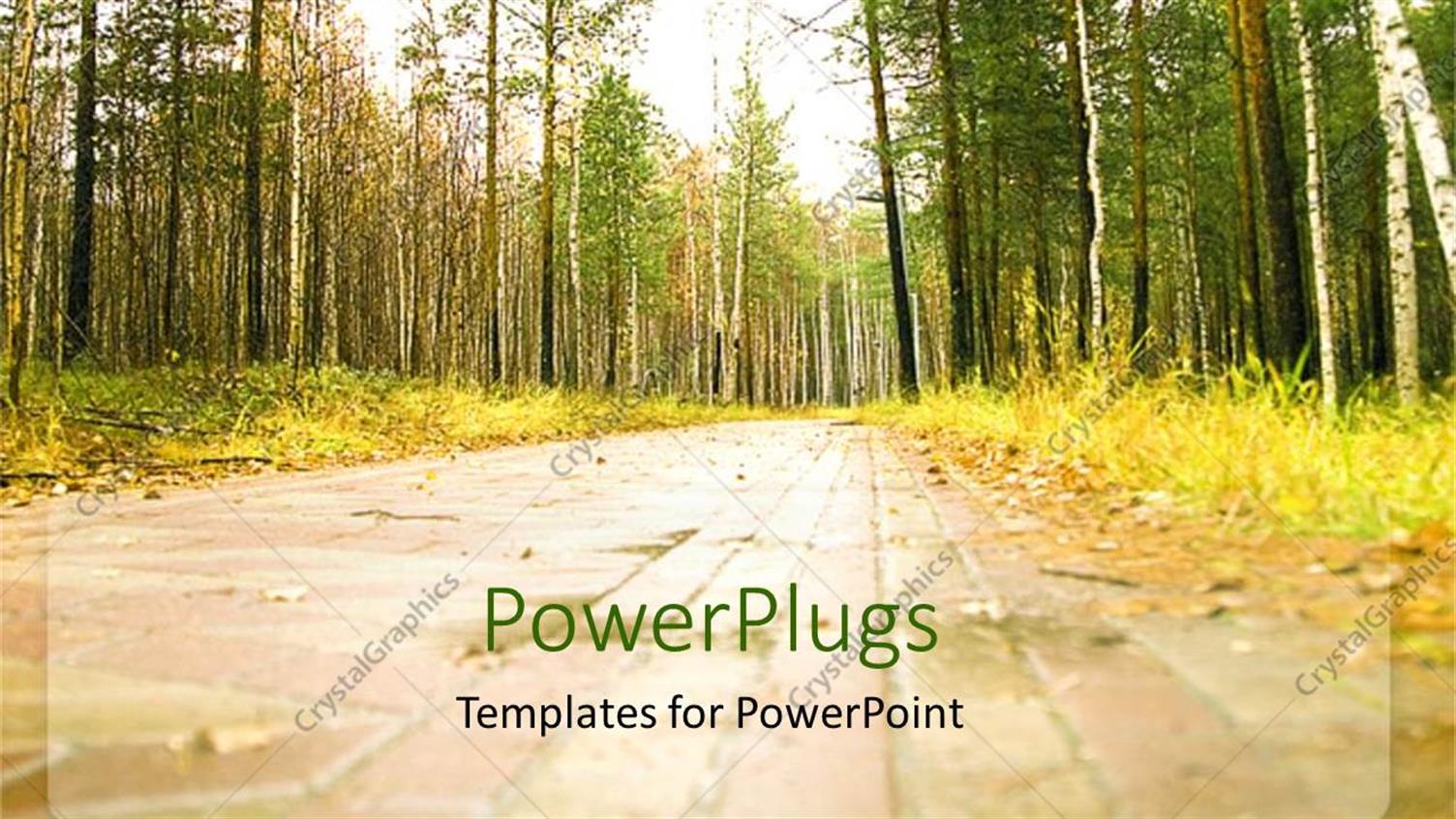 Premium Template for PowerPoint & Google Slides 