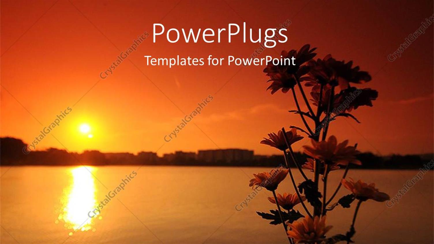 Premium Template for PowerPoint & Google Slides 